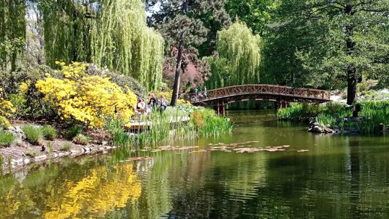 Ogród Botaniczny Uniwersytetu Wrocławskiego